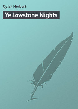 Yellowstone Nights