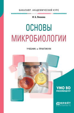 Основы микробиологии. Учебник и практикум для академического бакалавриата