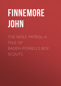 The Wolf Patrol: A Tale of Baden-Powell's Boy Scouts