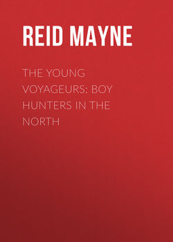 The Young Voyageurs: Boy Hunters in the North