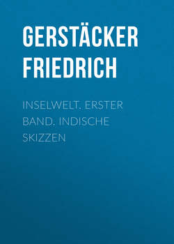 Inselwelt. Erster Band. Indische Skizzen