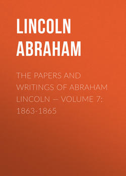 The Papers And Writings Of Abraham Lincoln — Volume 7: 1863-1865