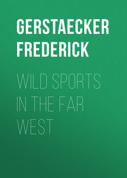 Wild Sports In The Far West
