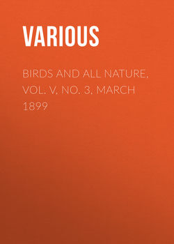 Birds and All Nature, Vol. V, No. 3, March 1899