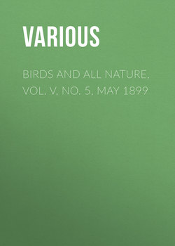 Birds and all Nature, Vol. V, No. 5, May 1899
