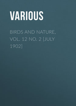 Birds and Nature, Vol. 12 No. 2 [July 1902]