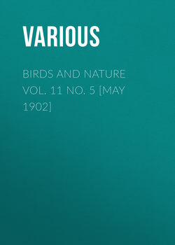 Birds and Nature Vol. 11 No. 5 [May 1902]