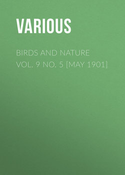 Birds and Nature Vol. 9 No. 5 [May 1901]