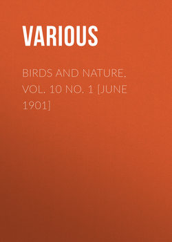 Birds and Nature, Vol. 10 No. 1 [June 1901]