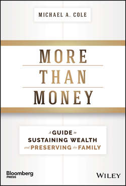 More Than Money. A Guide To Sustaining Wealth and Preserving the Family