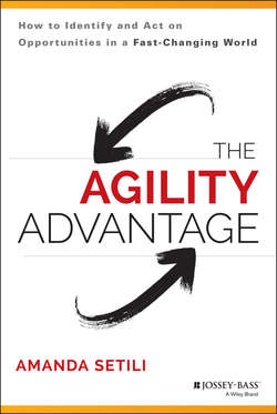 The Agility Advantage. How to Identify and Act on Opportunities in a Fast-Changing World