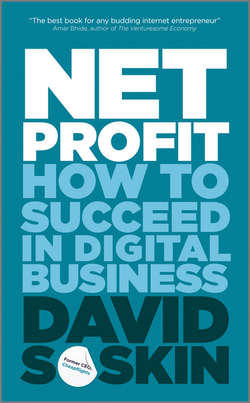 Net Profit. How to Succeed in Digital Business