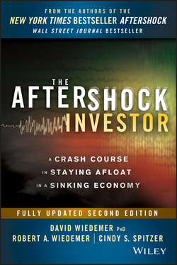 The Aftershock Investor. A Crash Course in Staying Afloat in a Sinking Economy