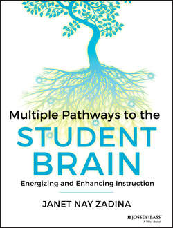 Multiple Pathways to the Student Brain. Energizing and Enhancing Instruction