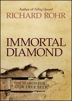 Immortal Diamond. The Search for Our True Self