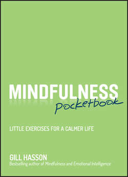 Mindfulness Pocketbook. Little Exercises for a Calmer Life