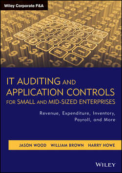 IT Auditing and Application Controls for Small and Mid-Sized Enterprises. Revenue, Expenditure, Inventory, Payroll, and More