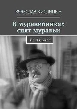 В муравейниках спят муравьи. Книга стихов