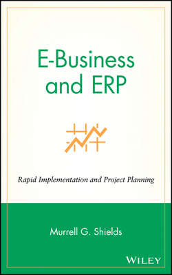 E-Business and ERP. Rapid Implementation and Project Planning