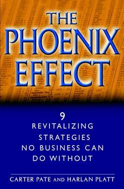 The Phoenix Effect. 9 Revitalizing Strategies No Business Can Do Without