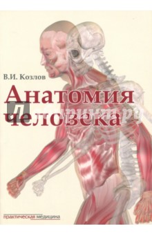 Анатомия человека. Учебник