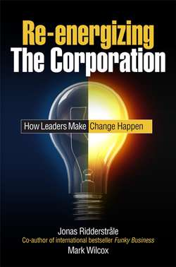 Re-energizing the Corporation. How Leaders Make Change Happen