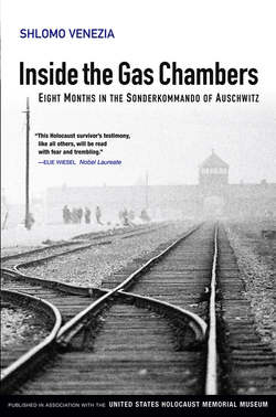 Inside the Gas Chambers. Eight Months in the Sonderkommando of Auschwitz