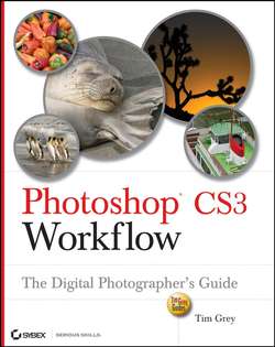 Photoshop CS3 Workflow. The Digital Photographer's Guide