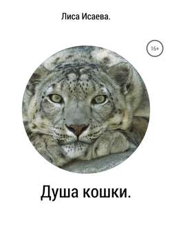 Душа кошки