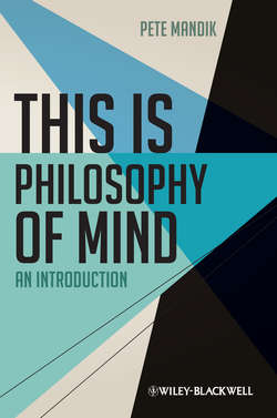 This is Philosophy of Mind. An Introduction