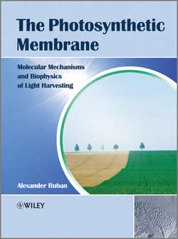 The Photosynthetic Membrane. Molecular Mechanisms and Biophysics of Light Harvesting