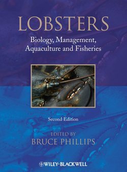 Lobsters. Biology, Management, Aquaculture & Fisheries