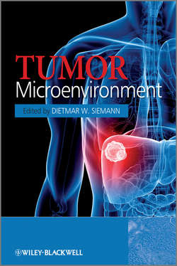 Tumor Microenvironment