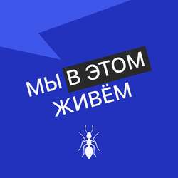 Выпуск № 08 сезон 3  Бобина ондатровая