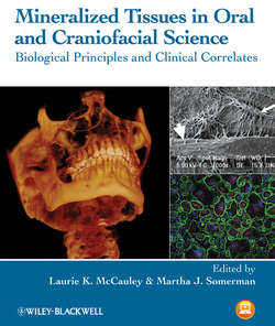 Mineralized Tissues in Oral and Craniofacial Science. Biological Principles and Clinical Correlates