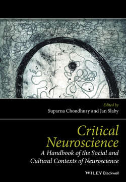 Critical Neuroscience. A Handbook of the Social and Cultural Contexts of Neuroscience