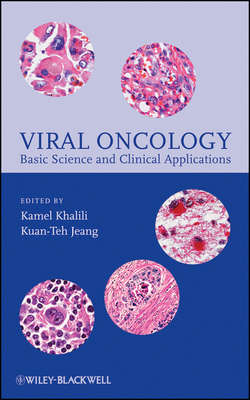 Viral Oncology. Basic Science and Clinical Applications