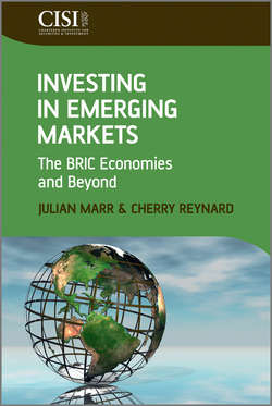 Investing in Emerging Markets. The BRIC Economies and Beyond