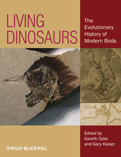 Living Dinosaurs. The Evolutionary History of Modern Birds