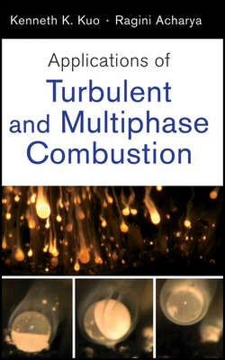 Applications of Turbulent and Multi-Phase Combustion