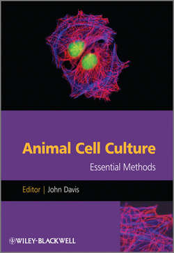 Animal Cell Culture. Essential Methods