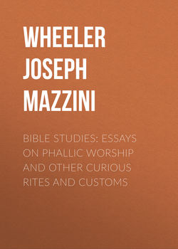 Bible Studies: Essays on Phallic Worship and Other Curious Rites and Customs