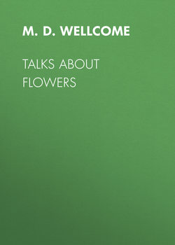 Talks About Flowers