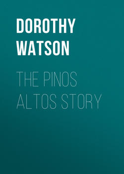 The Pinos Altos Story