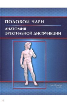 Половой член. Анатомия эректильной дисфункции