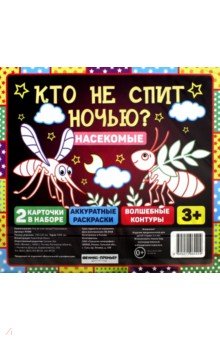 Кто не спит ночью? Насекомые