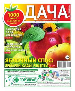 Дача Pressa.ru 16-2015