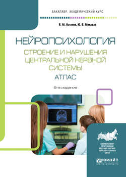 Нейропсихология. Строение и нарушения центральной нервной системы. Атлас 9-е изд., испр. и доп. Учебное пособие для академического бакалавриата