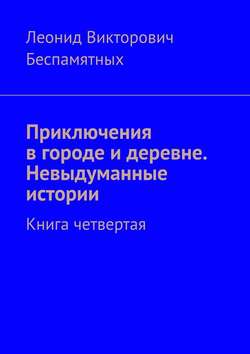 Приключения в городе и деревне. Невыдуманные истории. Книга четвертая