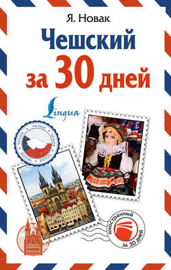 Чешский за 30 дней
